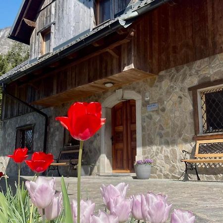 4 Elements Resort Bled Бохиньска-Бела Экстерьер фото