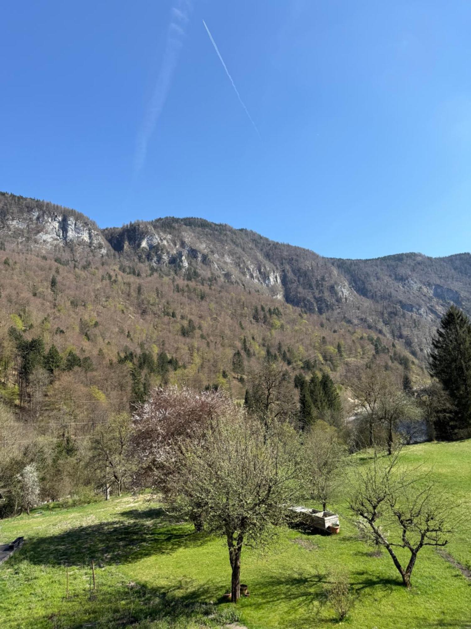 4 Elements Resort Bled Бохиньска-Бела Экстерьер фото