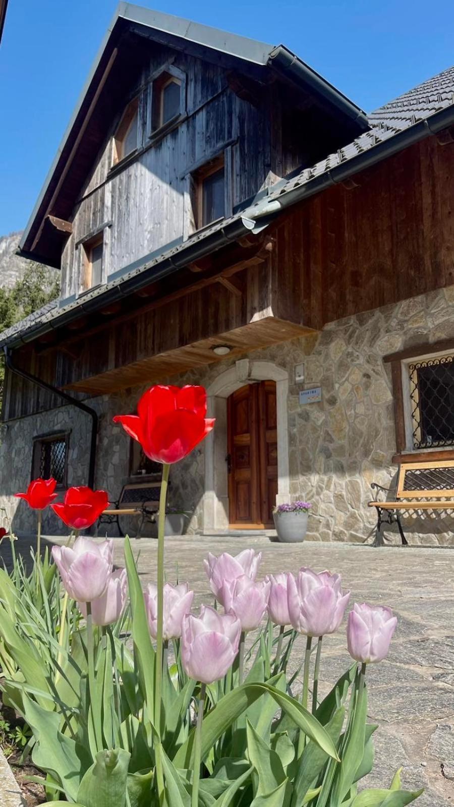 4 Elements Resort Bled Бохиньска-Бела Экстерьер фото